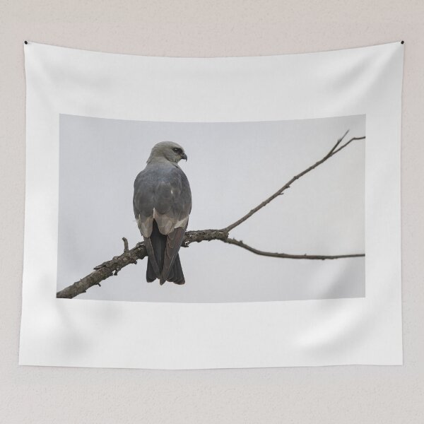Item preview, Mississippi kite on a branch designed and sold by Puttaswamy Ravishankar.