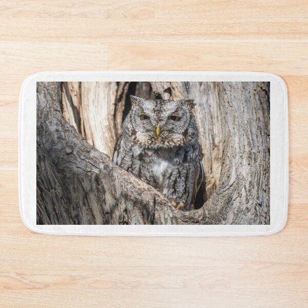 Item preview, Screech owl - Eyes barely open designed and sold by Puttaswamy Ravishankar.