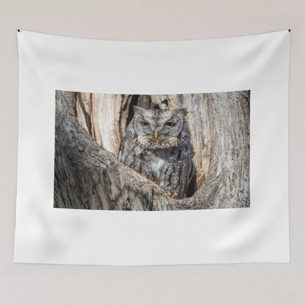 Item preview, Screech owl - Eyes barely open designed and sold by Puttaswamy Ravishankar.