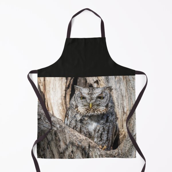 Item preview, Screech owl - Eyes barely open designed and sold by Puttaswamy Ravishankar.