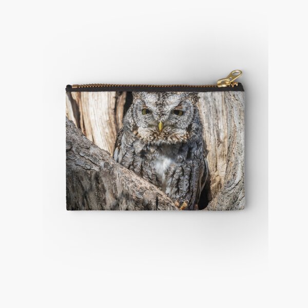 Item preview, Screech owl - Eyes barely open designed and sold by Puttaswamy Ravishankar.
