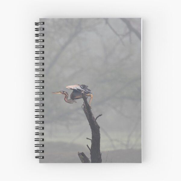 Item preview, Purple heron in the Mist designed and sold by Puttaswamy Ravishankar.