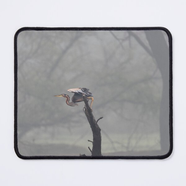 Item preview, Purple heron in the Mist designed and sold by Puttaswamy Ravishankar.