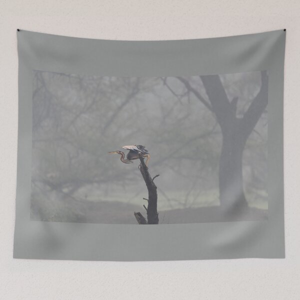 Item preview, Purple heron in the Mist designed and sold by Puttaswamy Ravishankar.