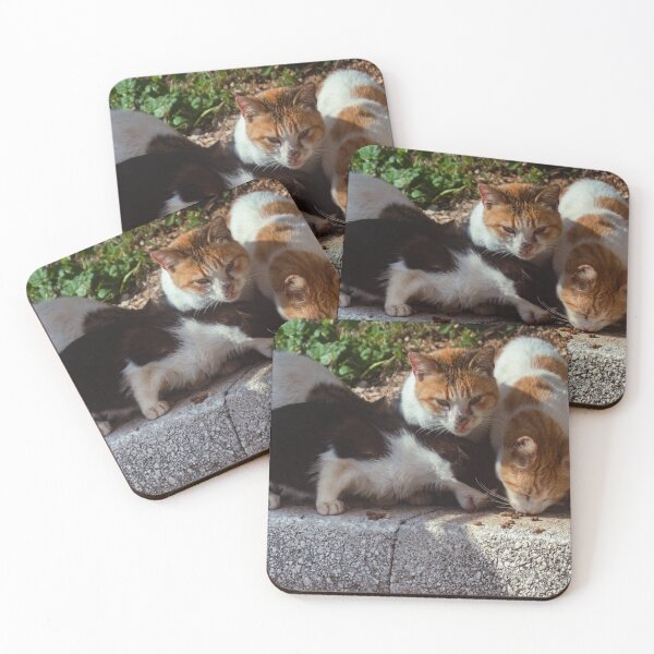 Item preview, Survivors of the Sunlit Streets - Stray Cats of Greece designed and sold by Kyma Collective.