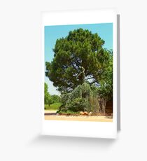 Bushes Greeting Card