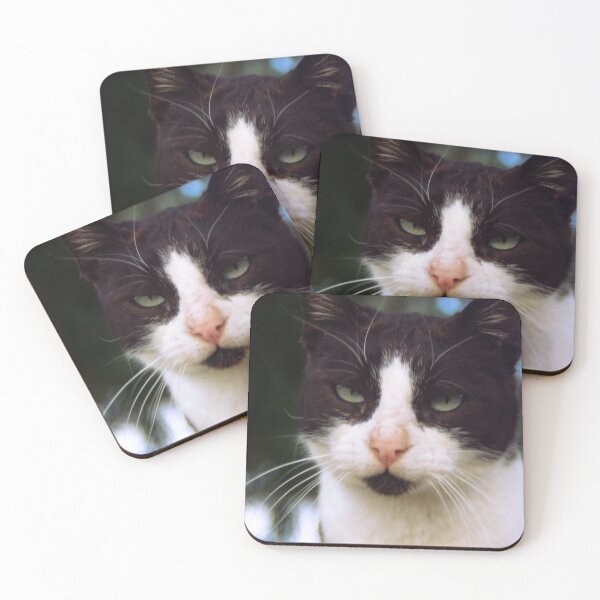 Item preview, Cat Queen of the Shadows designed and sold by Kyma Collective.
