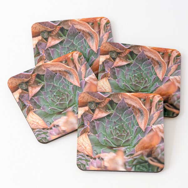 Item preview, Resilient Succulent designed and sold by Betsy Phillips.