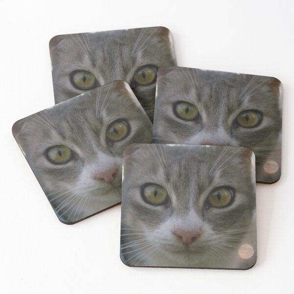 Item preview, Resilient Beauty: A TNR Survivor’s Gaze designed and sold by Kyma Collective.
