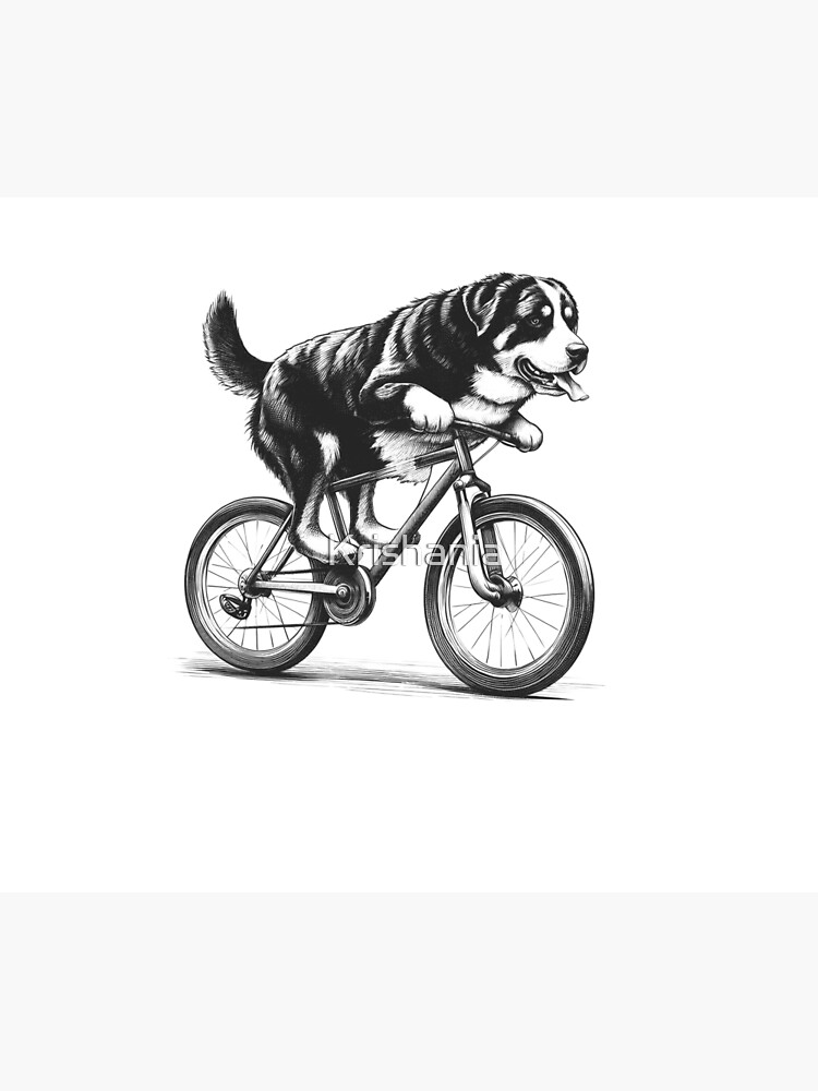 Greater Swiss Mountain Dog Riding Bike