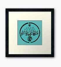 Jsdr Framed Print