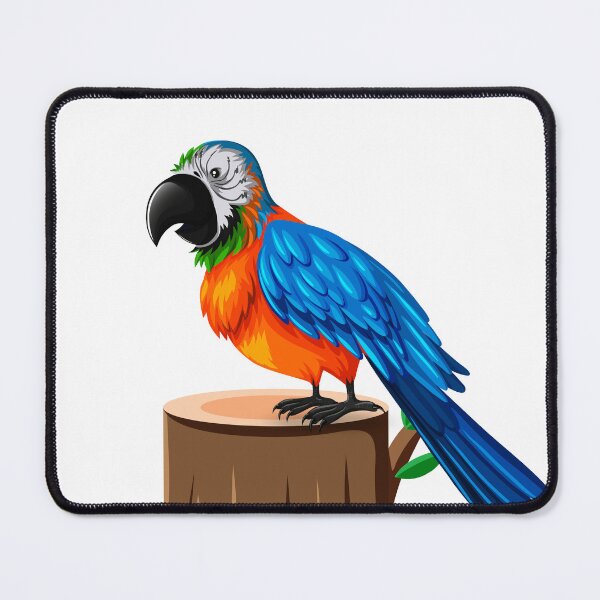 Item preview, Quaker parrot  designed and sold by  Paper & Coil.