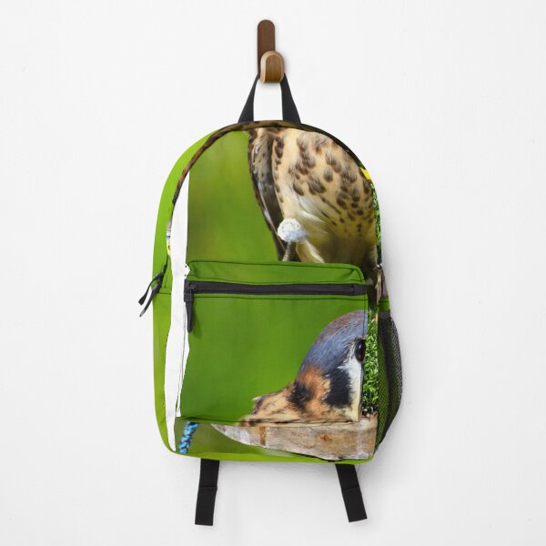 Item preview, American Kestrel  designed and sold by MercerImages.