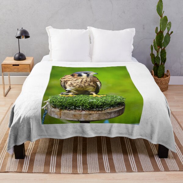 Item preview, American Kestrel designed and sold by MercerImages.