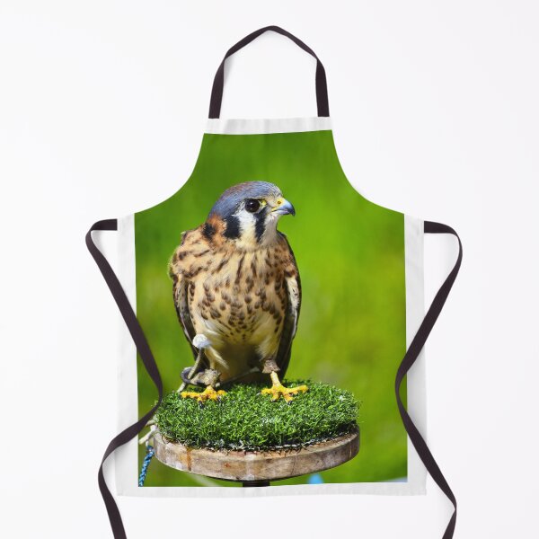 Item preview, American Kestrel designed and sold by MercerImages.