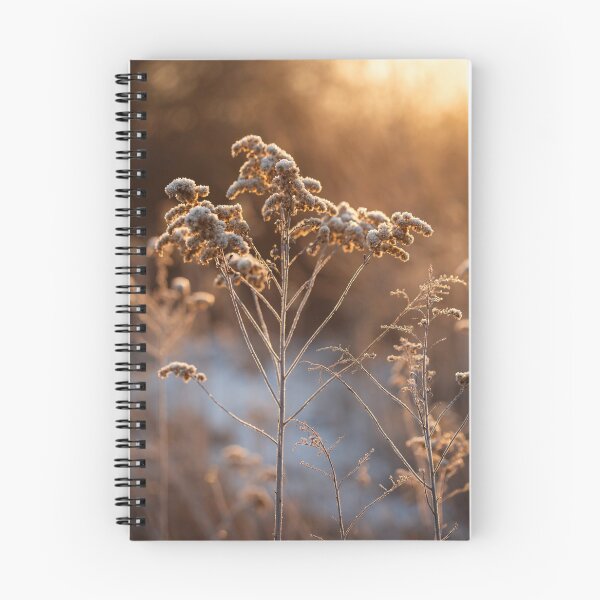 Item preview, Winter meadow designed and sold by Catrinann.
