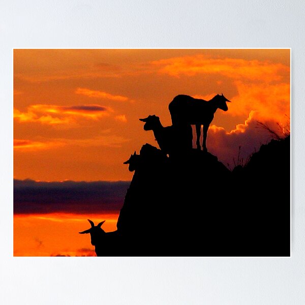 Item preview, Dili Goats at Dawn by Meli Fernandes designed and sold by Arte Moris.