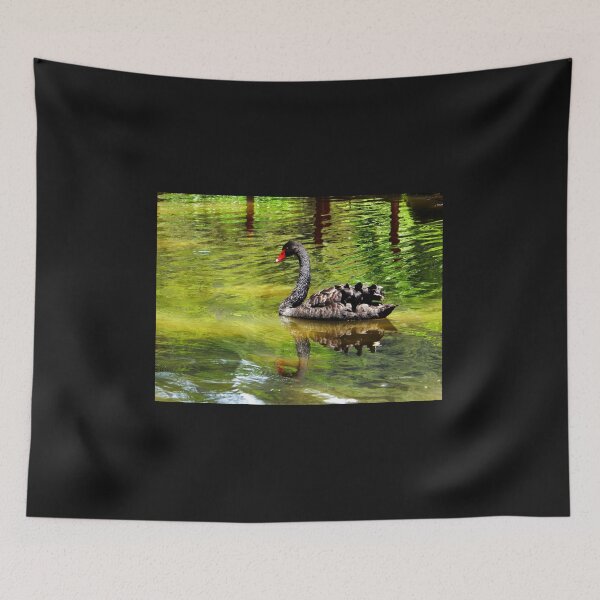 Item preview, Black Swan ........ Alone designed and sold by Vaengi.