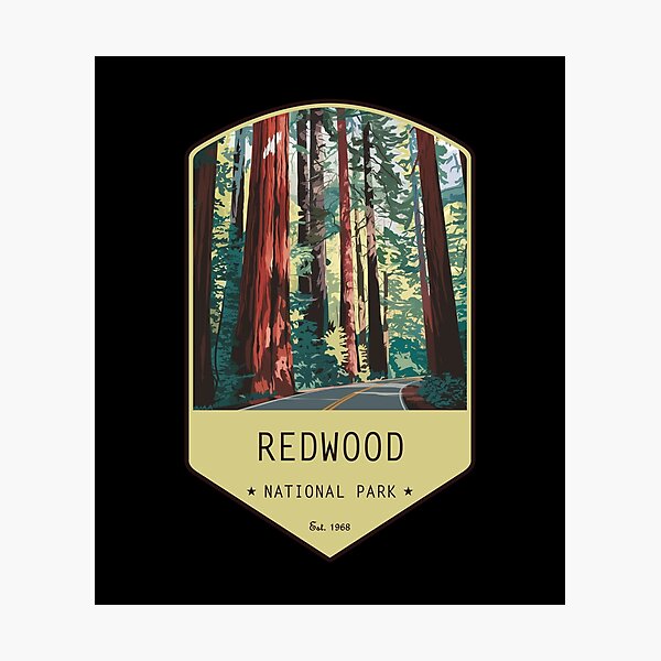 Item preview, Redwood National Park Vintage Design designed and sold by Wanderful-roads.