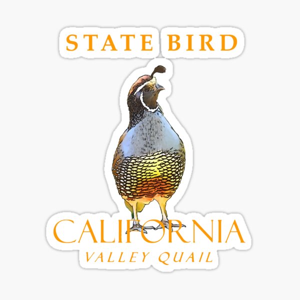 Item preview, California Territory Bird The Quail designed and sold by taiche.
