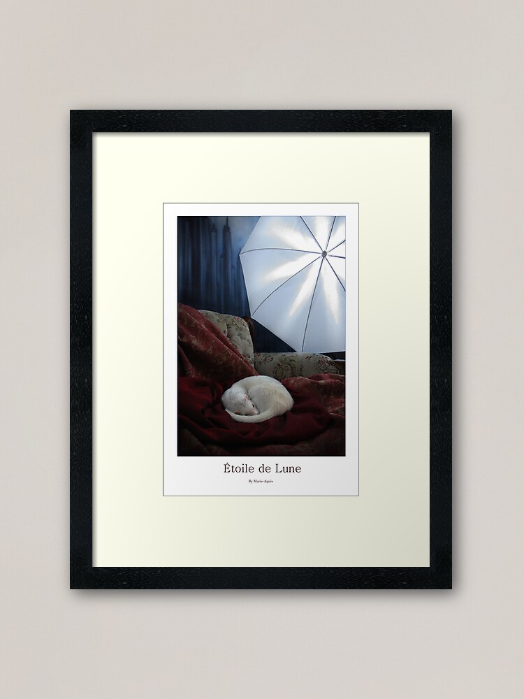 Alternate view of Etoile de Lune Framed Art Print