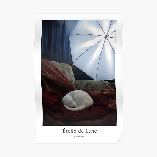 Etoile de Lune Poster