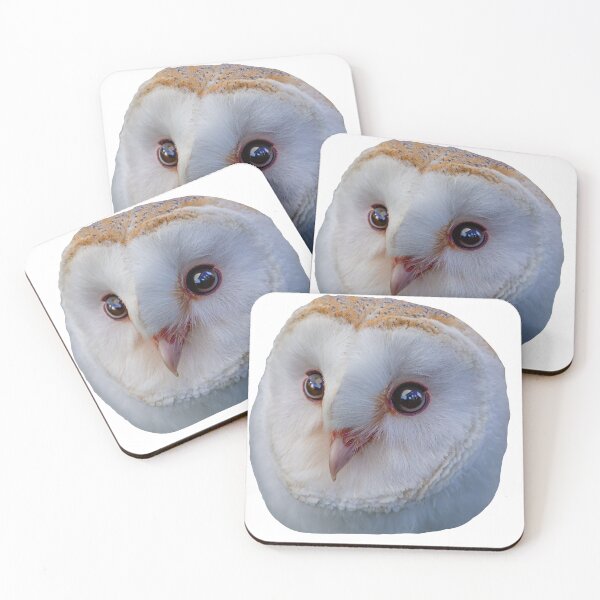 Item preview, Loki the Barn Owl designed and sold by Dalyndigital Photography.