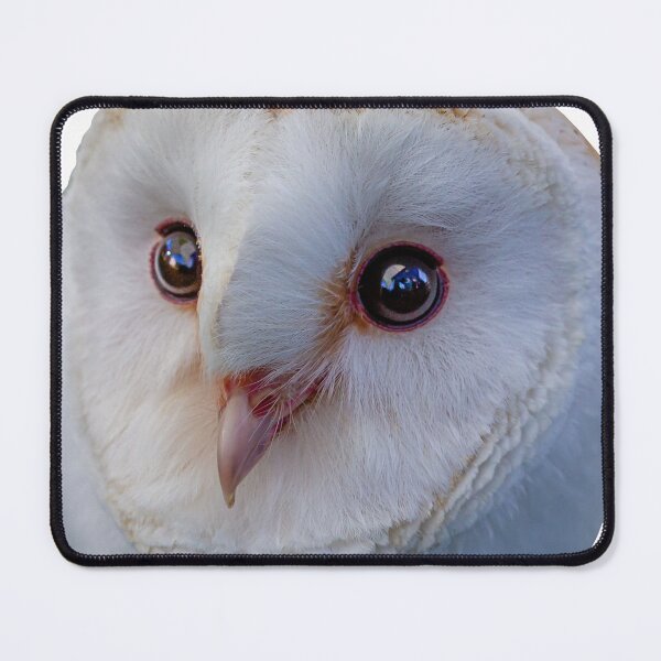 Item preview, Loki the Barn Owl designed and sold by Dalyndigital Photography.
