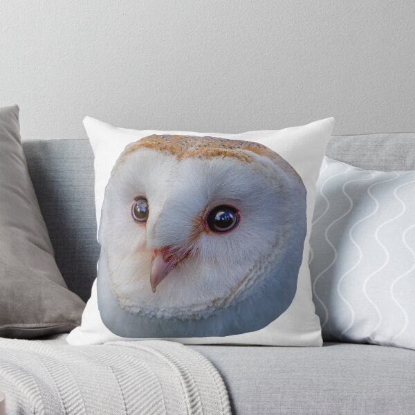 Item preview, Loki the Barn Owl designed and sold by Dalyndigital Photography.