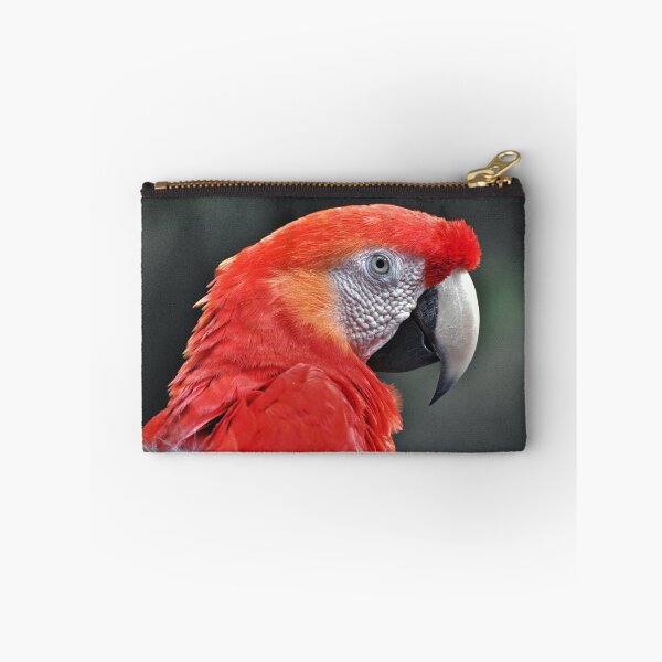 Item preview, Parrot designed and sold by Savannah Gibbs.