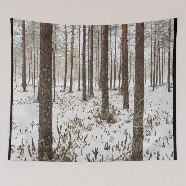 Item preview, Pines of morass. Seitseminen designed and sold by Jouko Lehto Photography.