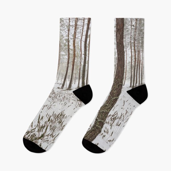 Item preview, Pines of morass. Seitseminen designed and sold by Jouko Lehto Photography.