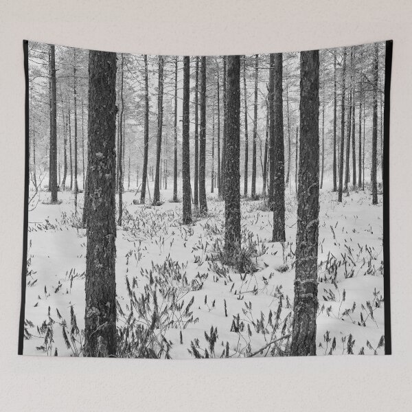 Item preview, Pines of morass. Seitseminen bw designed and sold by Jouko Lehto Photography.