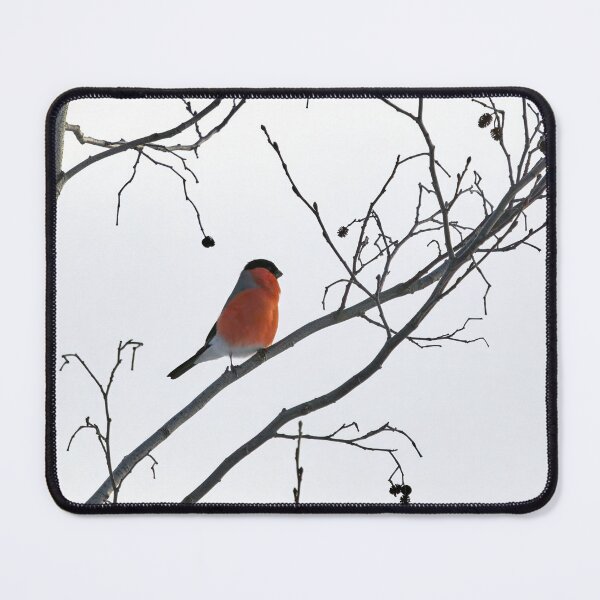 Item preview, Simplistic. Eurasian bullfinch designed and sold by Jouko Lehto Photography.