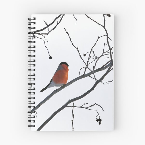 Item preview, Simplistic. Eurasian bullfinch designed and sold by Jouko Lehto Photography.