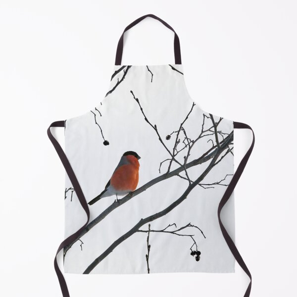 Item preview, Simplistic. Eurasian bullfinch designed and sold by Jouko Lehto Photography.