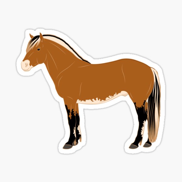 Aperçu de l'œuvre Cheval Fjord, cheval isabelle, cheval de selle léger, races de chevaux de la Norvège créée et vendue par WebEquitation®.