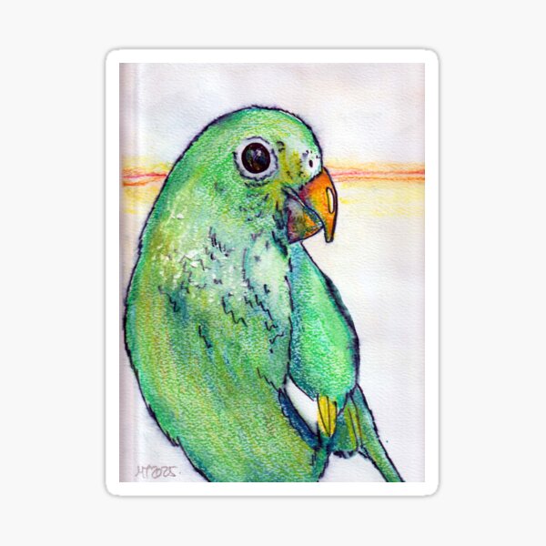 Item preview, White Winged Parakeet Southern California  designed and sold by Geoffrey & Michelle  Thomson.