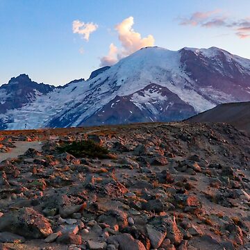 Artwork thumbnail, Evening Glow on Rainier by EmmettBurnsPhotography
