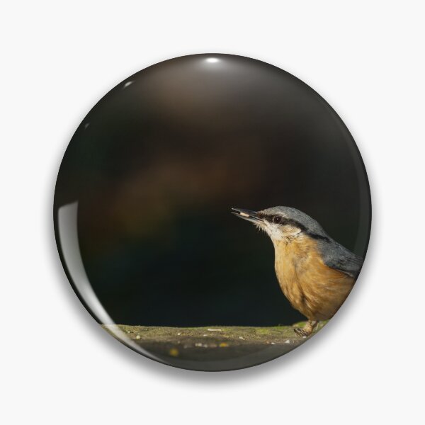 Item preview, Eurasian Nuthatch feeding against a dark background. designed and sold by RobThorley.
