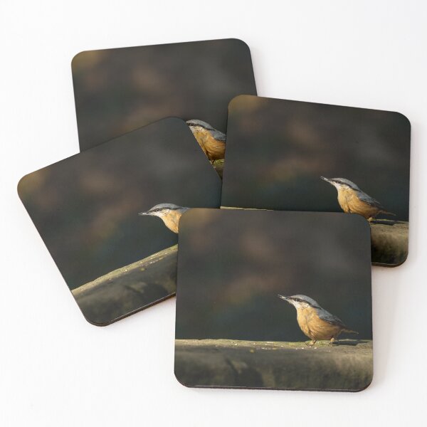 Item preview, Eurasian Nuthatch feeding against a dark background. designed and sold by RobThorley.