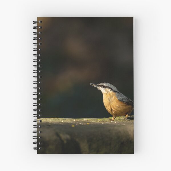 Item preview, Eurasian Nuthatch feeding against a dark background. designed and sold by RobThorley.