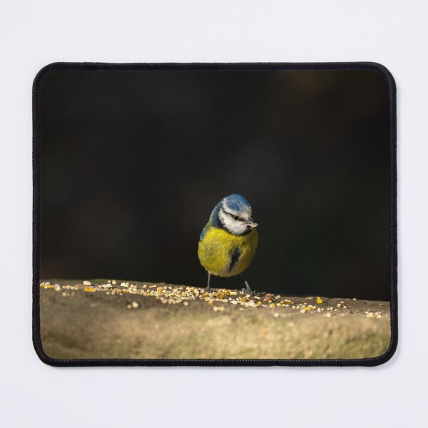 Item preview, Eurasian Blue Tit feeding on a stone wall. designed and sold by RobThorley.