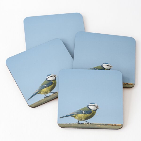 Item preview, Eurasian Blue Tit feeding on a stone wall. designed and sold by RobThorley.