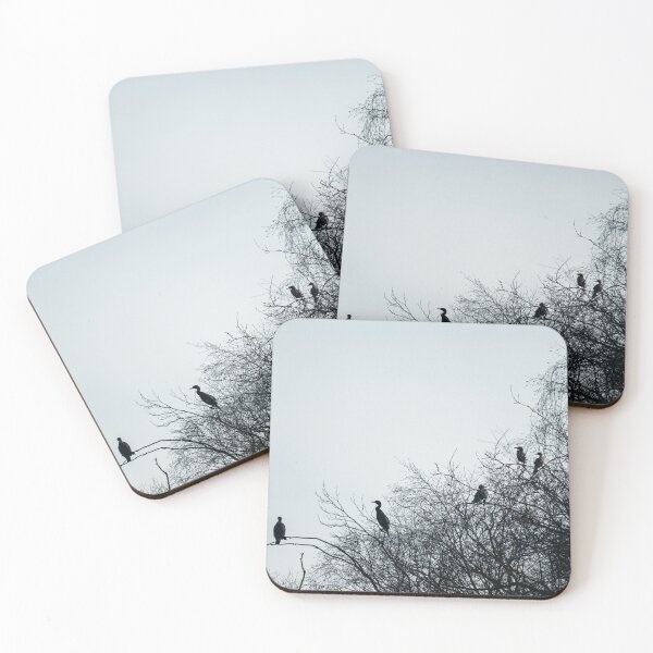 Item preview, Six Cormorant perching in a tree. designed and sold by RobThorley.