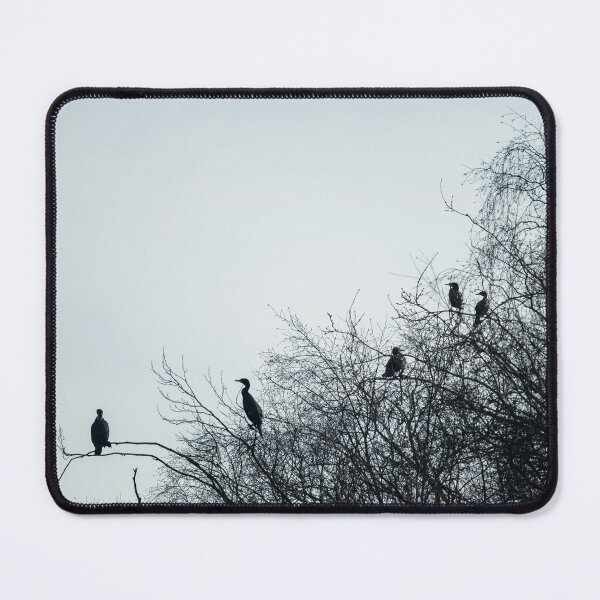 Item preview, Six Cormorant perching in a tree. designed and sold by RobThorley.