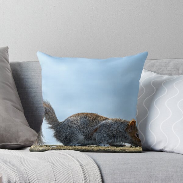 Item preview, Grey Squirrel, Sciurus carolinensis feeding. designed and sold by RobThorley.
