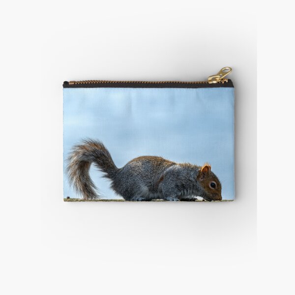 Aperçu de l'œuvre Écureuil gris, Sciurus carolinensis, en train de se nourrir. créée et vendue par RobThorley.