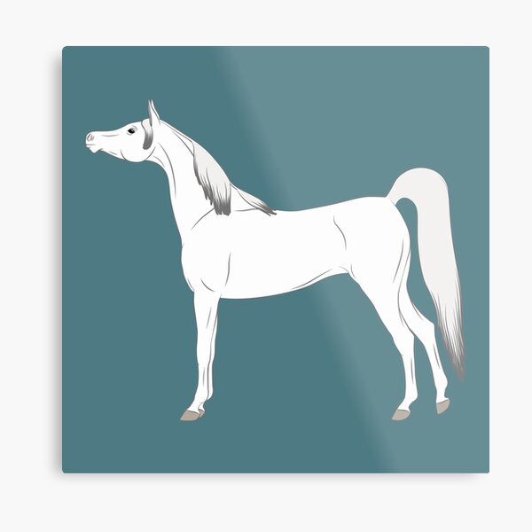 Aperçu de l'œuvre Cheval Arabe, dessin cheval gris, cheval oriental, races de chevaux de l'Arabie Saoudite créée et vendue par WebEquitation®.