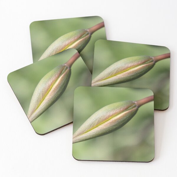 Item preview, Unfolding Elegance designed and sold by OrsalArt.